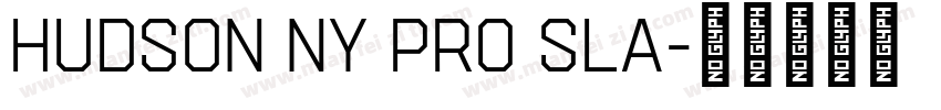 Hudson NY Pro Sla字体转换